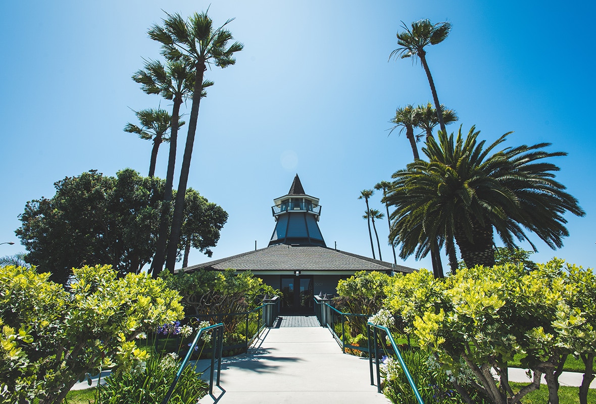 Entrance to marina lined with palm trees