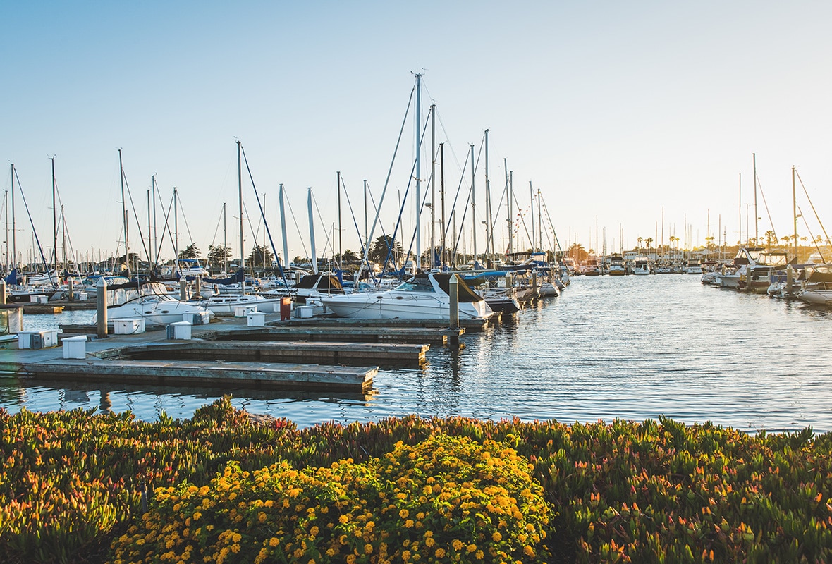 Boats docked at marina