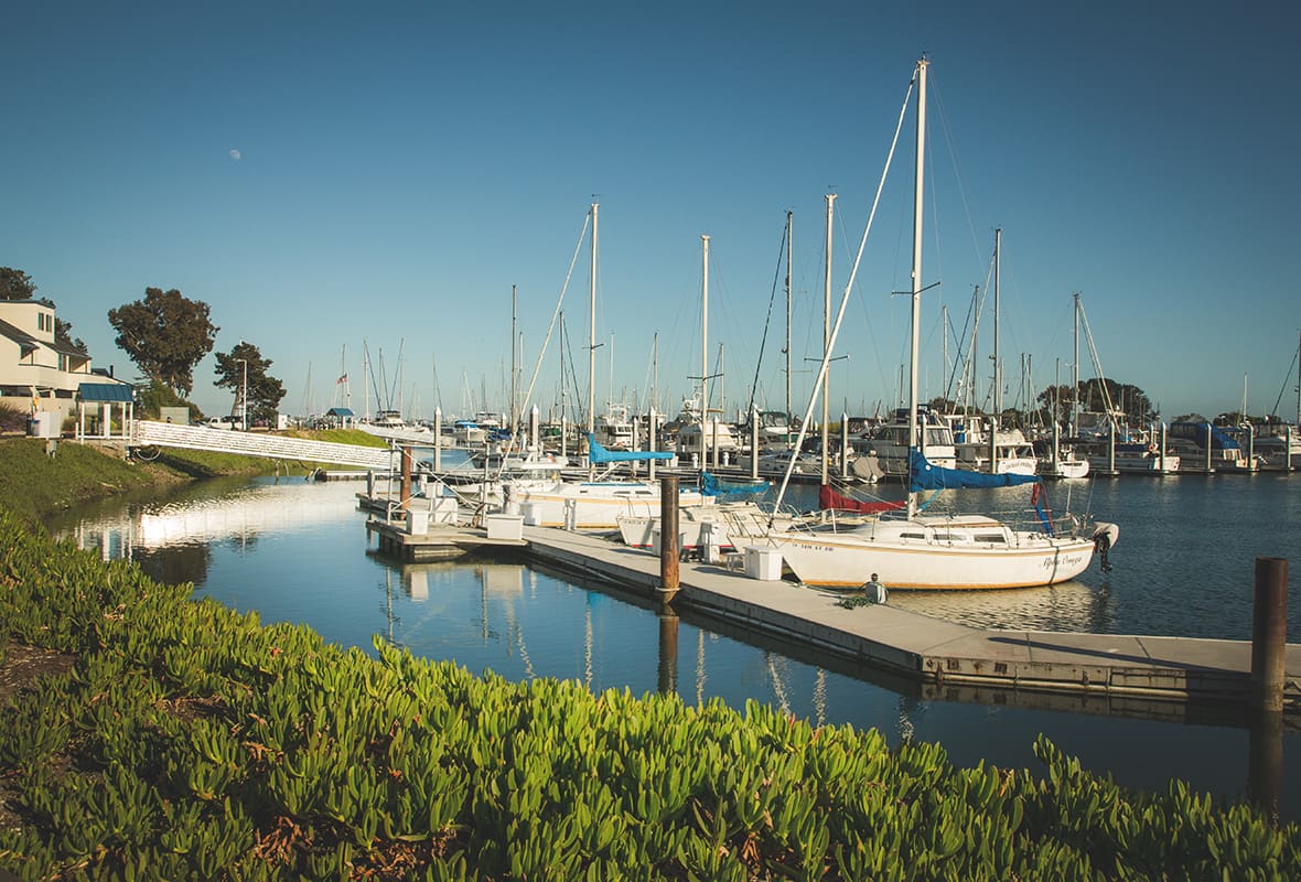 Boats docked at marina