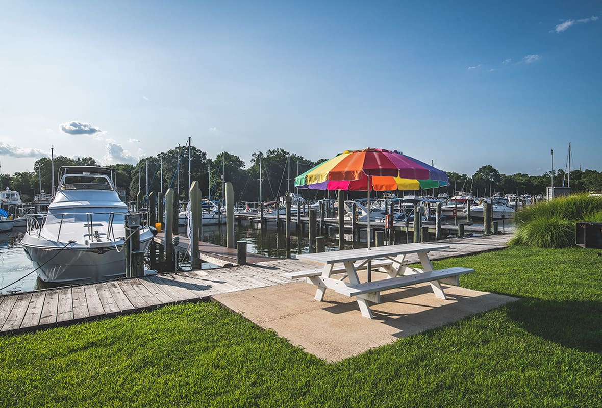 Picnic table by dock
