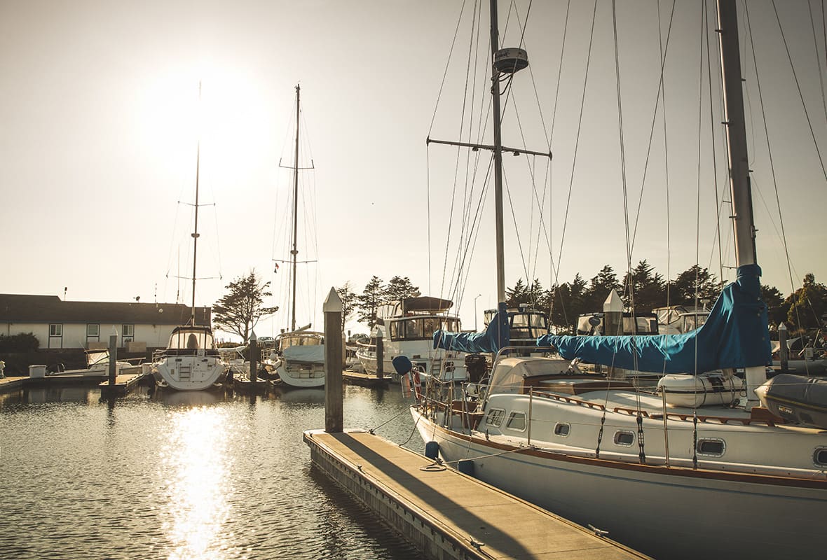 Boats docked at marina