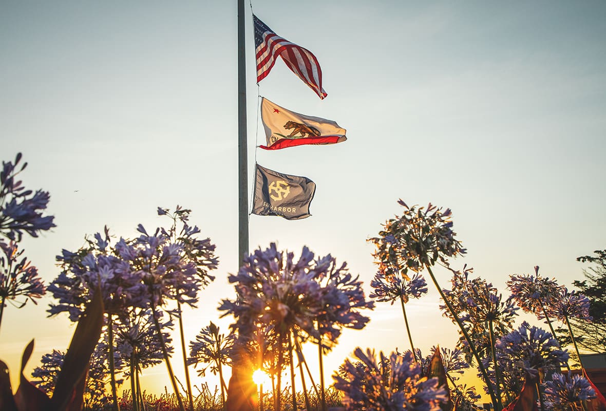 Safe harbor, California and American flags