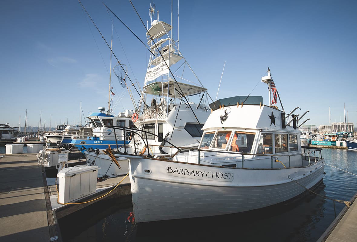 Boats docked at marina