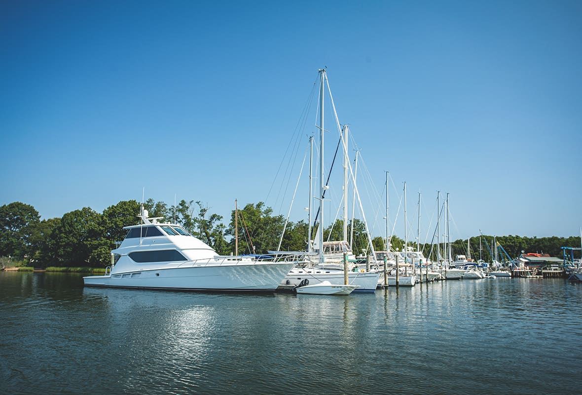 Boats docked at marina