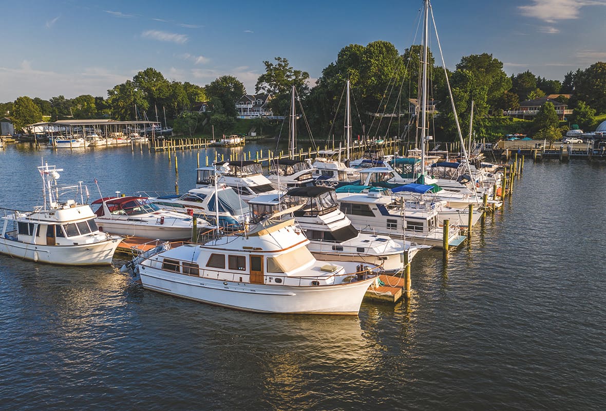 Boats docked at marina