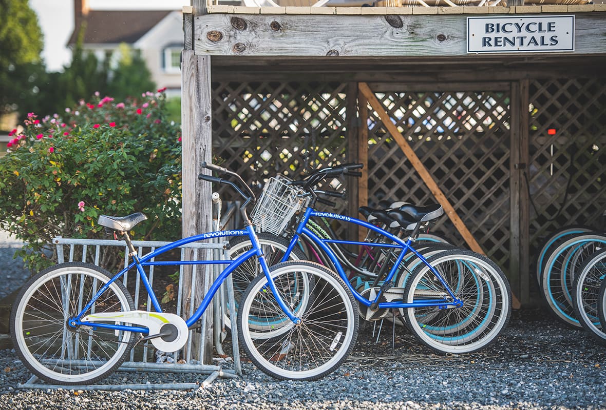 Bikes at bike rental area