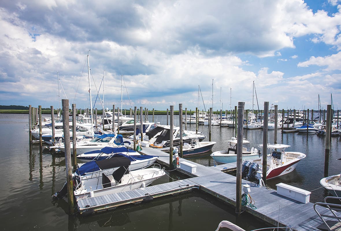 Boats docked at marina