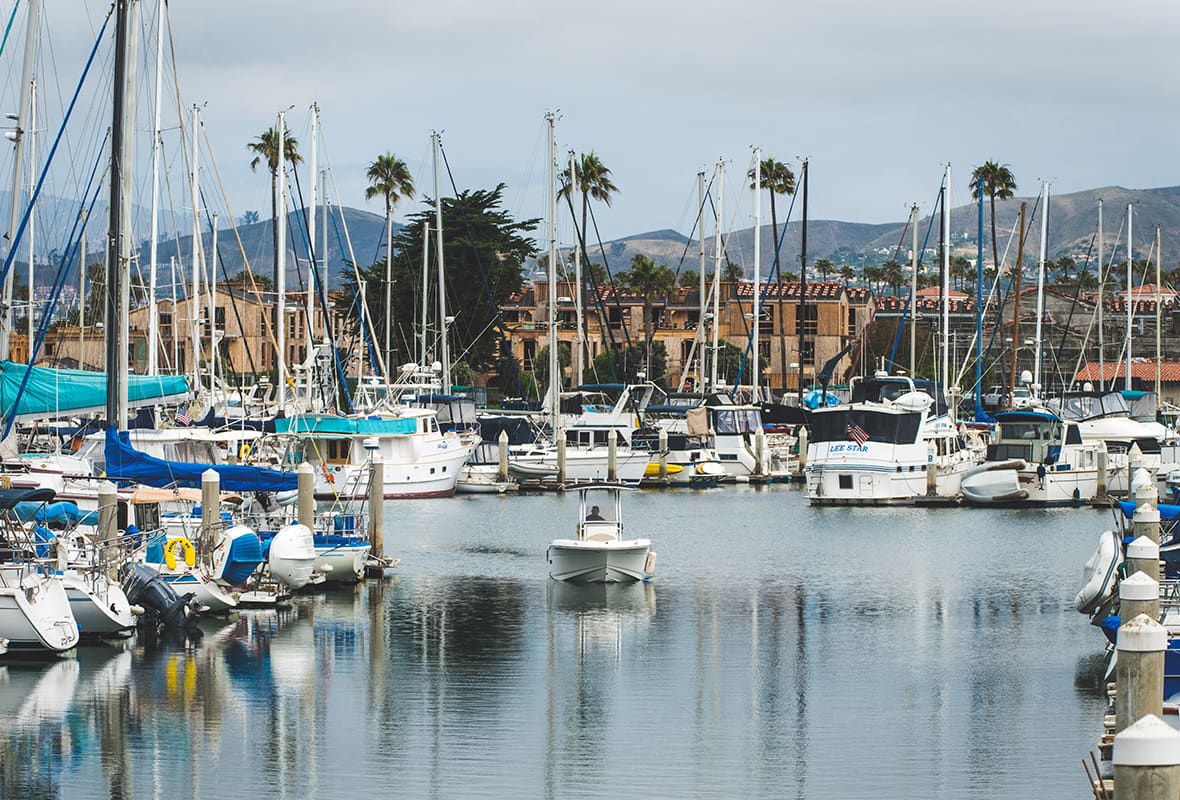 Boats docked at marina
