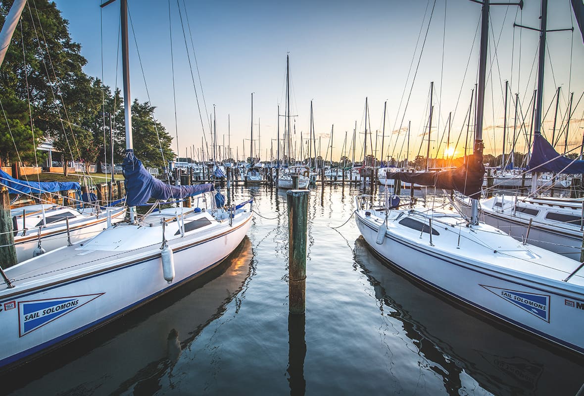 Boats docked at marina