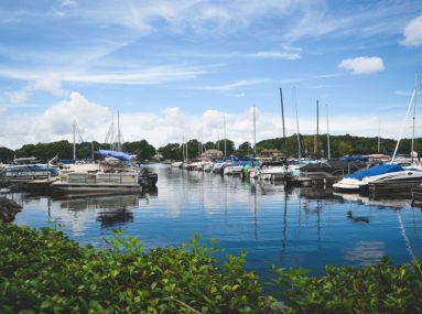 Safe harbor kings point