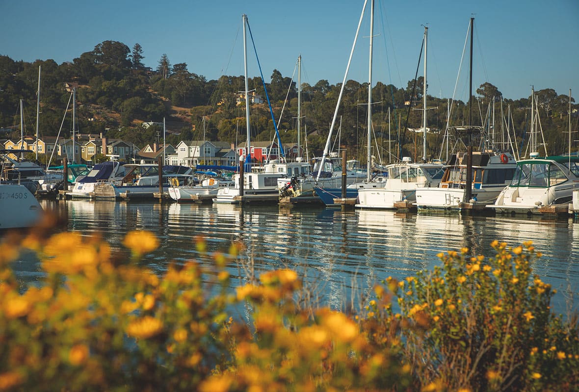 safe harbor loch lomond wet slips