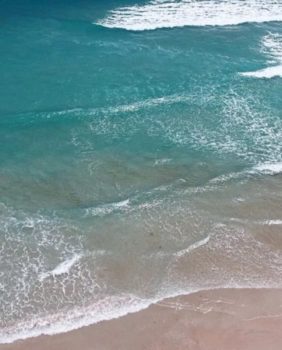 Fort Pierce Inlet State Park beach