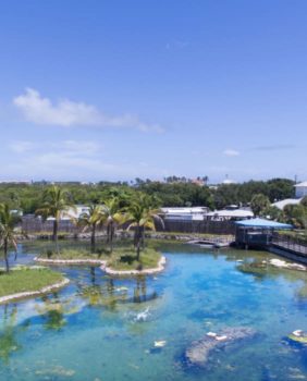 Florida ocean center